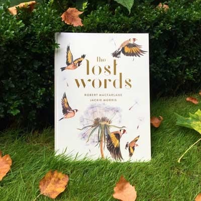 the lost words by robert macfarlane