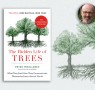 The Hidden Life of Trees: An Interview with Peter Wohlleben