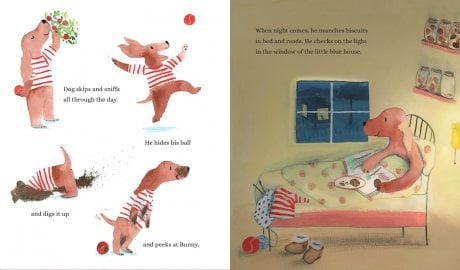 On the Night of the Shooting Star (Hardback)