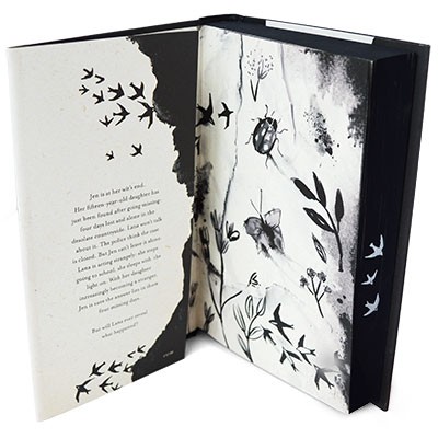 Whistle in the Dark (Hardback)