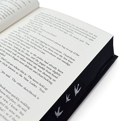 Whistle in the Dark (Hardback)