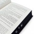 Whistle in the Dark (Hardback)