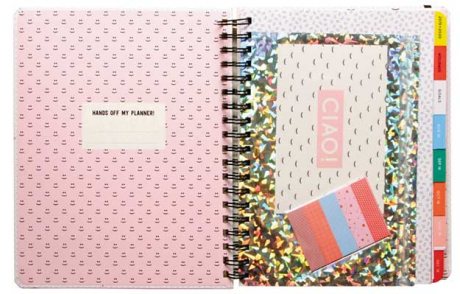 2019 Pipsticks Building My Empire Planner (Calendar)
