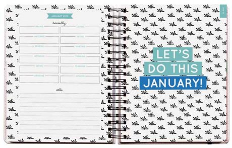 2019 Pipsticks Building My Empire Planner (Calendar)
