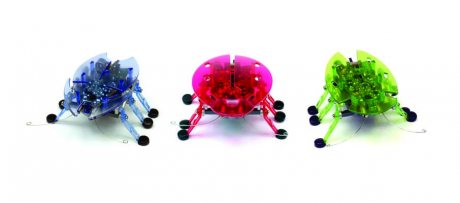 hexbug insects