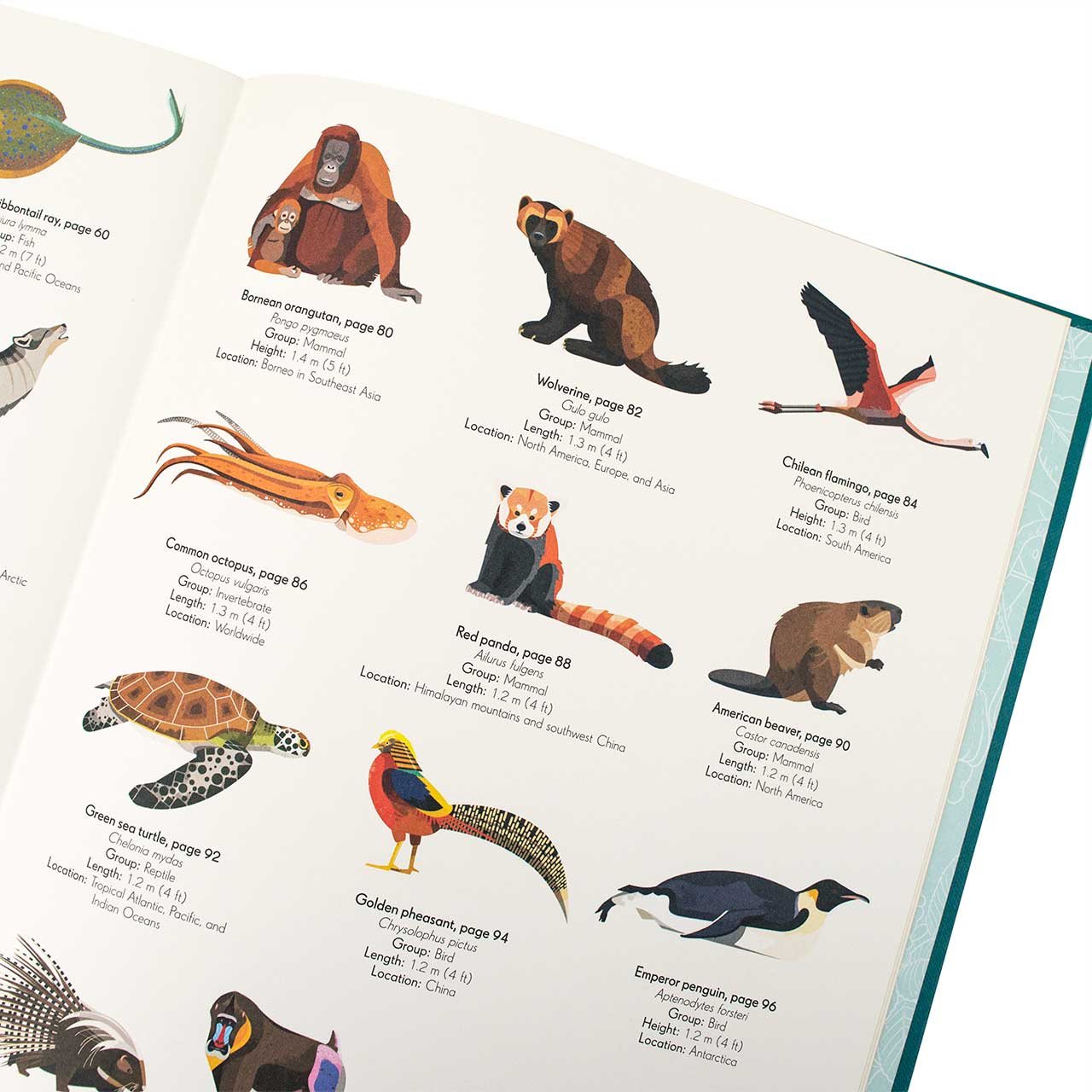 An Anthology of Intriguing Animals by Ben Hoare | Waterstones