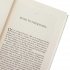 Chernobyl: History of a Tragedy (Hardback)