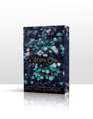 Song of Sorrow - Sorrow 2 (Paperback)