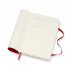 Scarlet Red Weekly Soft Pocket Diary 2019-2020 (Diary)