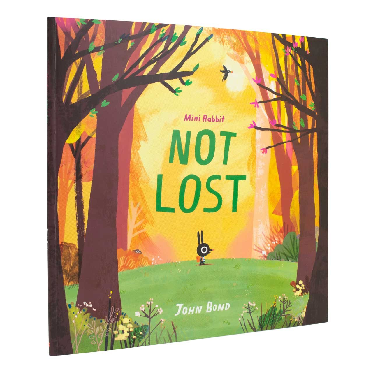 Mini Rabbit Not Lost by John Bond Waterstones