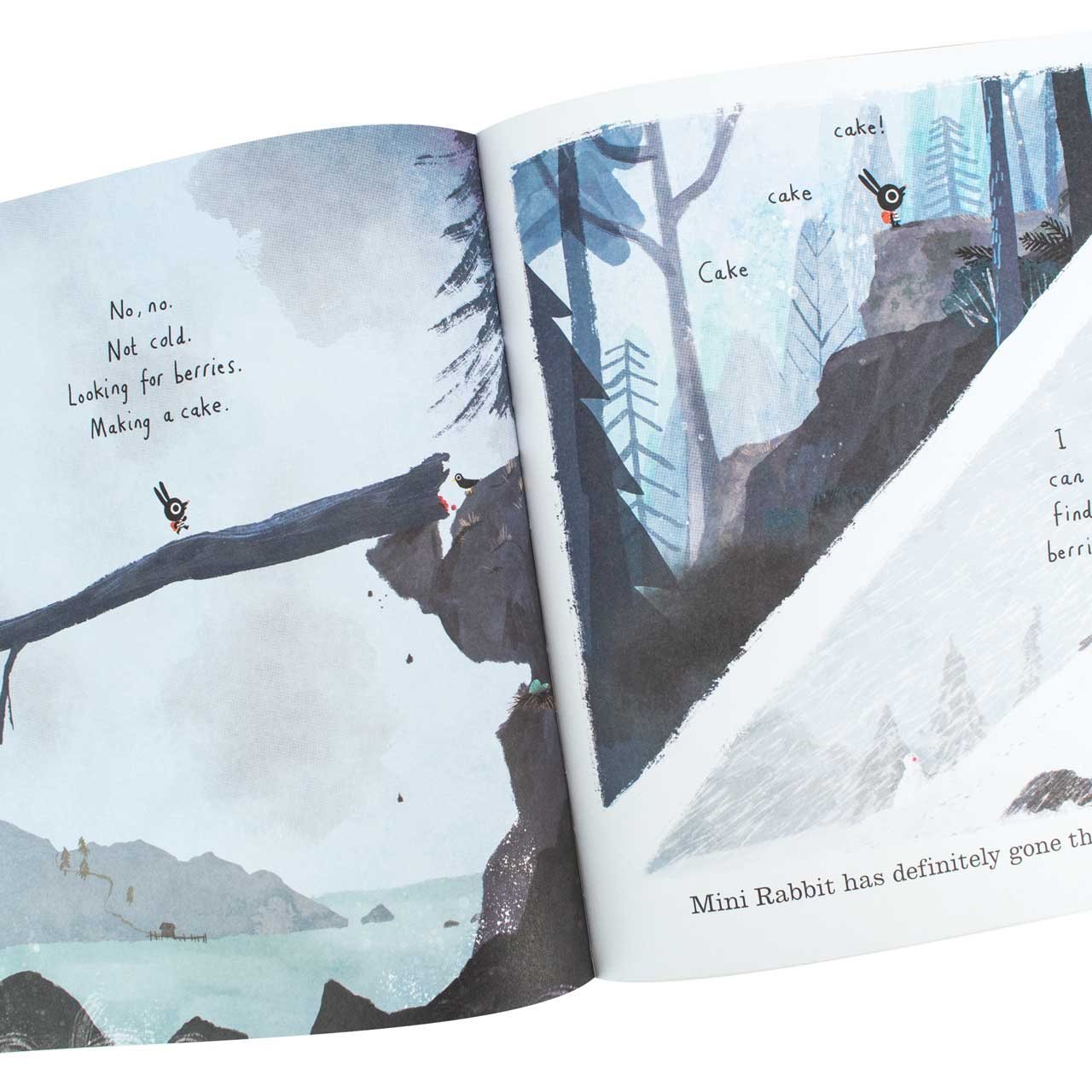 Mini Rabbit Not Lost by John Bond Waterstones