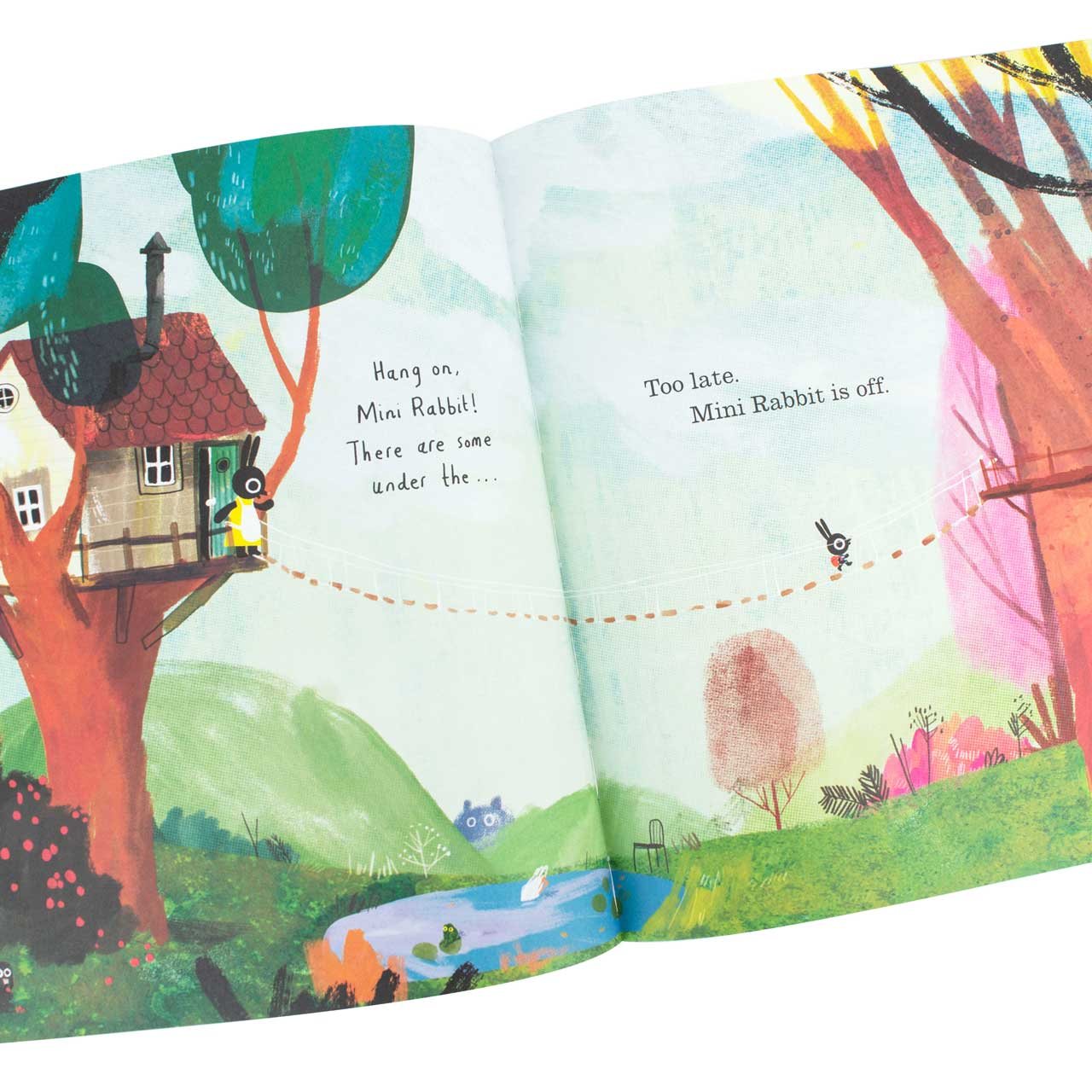 Mini Rabbit Not Lost by John Bond Waterstones