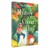 The Mystery of the Colour Thief (Paperback)