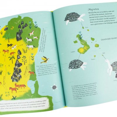 On The Origin of Species (Hardback)