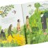 On The Origin of Species (Hardback)