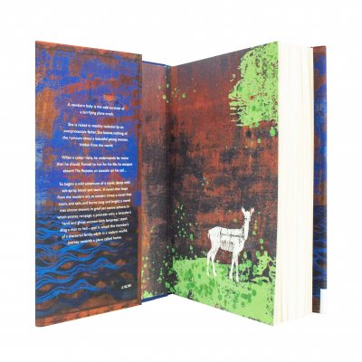 The Porpoise: Signed Edition (Hardback)