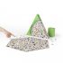 I Saw It First! Jungle: A Family Spotting Game - Magma for Laurence King