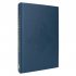 Cari Mora (Hardback)