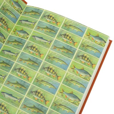 Mortimer & Whitehouse: Gone Fishing (Hardback)