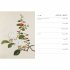Royal Horticultural Society Desk Diary 2020 (Diary)