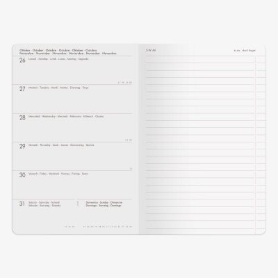 Whales Medium Desk Diary 2019-2020 (Diary)