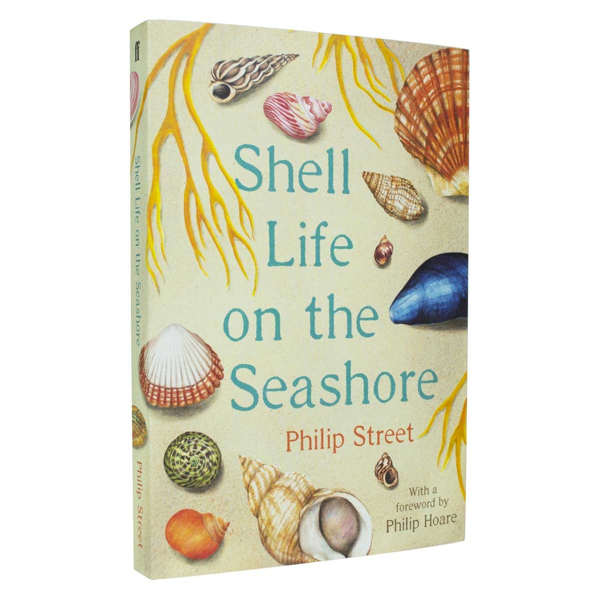 Shell Life on the Seashore by Philip Street | Waterstones