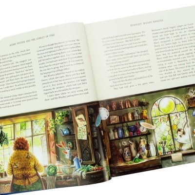 Harry potter on sale illustrated books