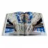 The Art of Looking Up (Hardback)