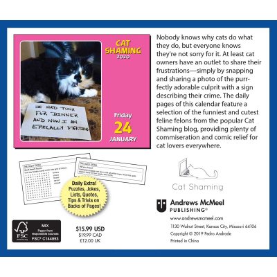 Cat Shaming 2020 Day-to-Day Calendar (Calendar)