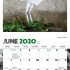 2020 Banksy's Graffiti Mini Wall Calendar (Calendar)