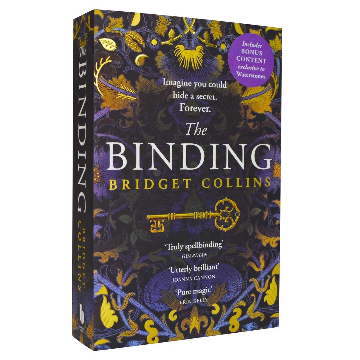 the binding book bridget collins