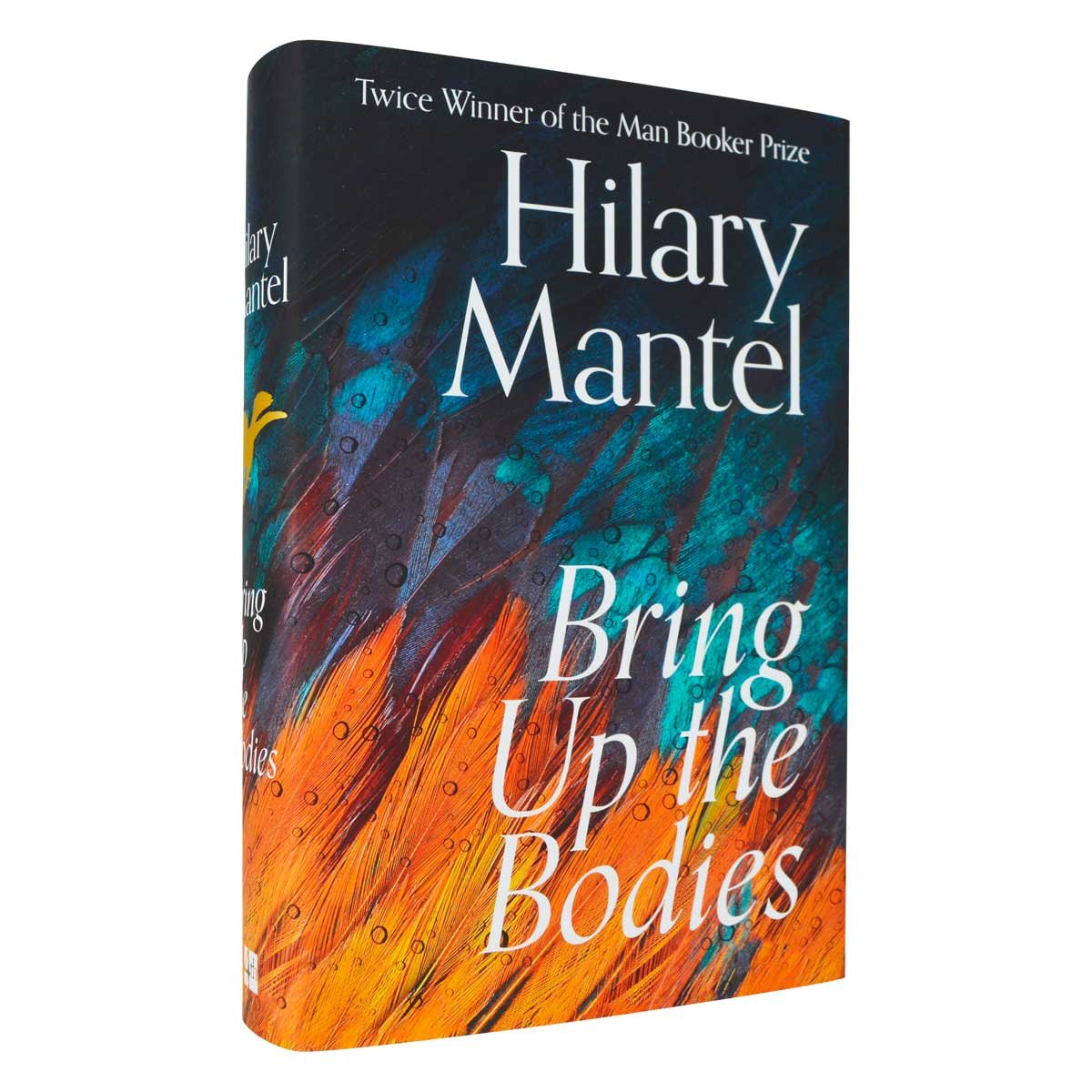 bring up the bodies author