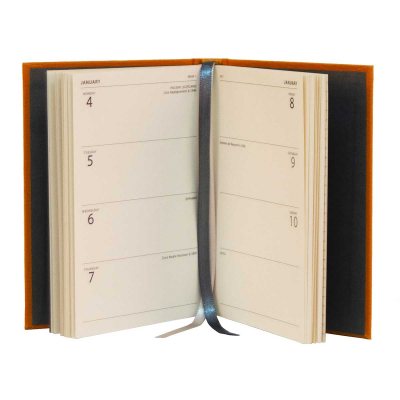 Waterstones Signature Mustard A6 Pocket Diary 2020-2021 WTV (Diary)