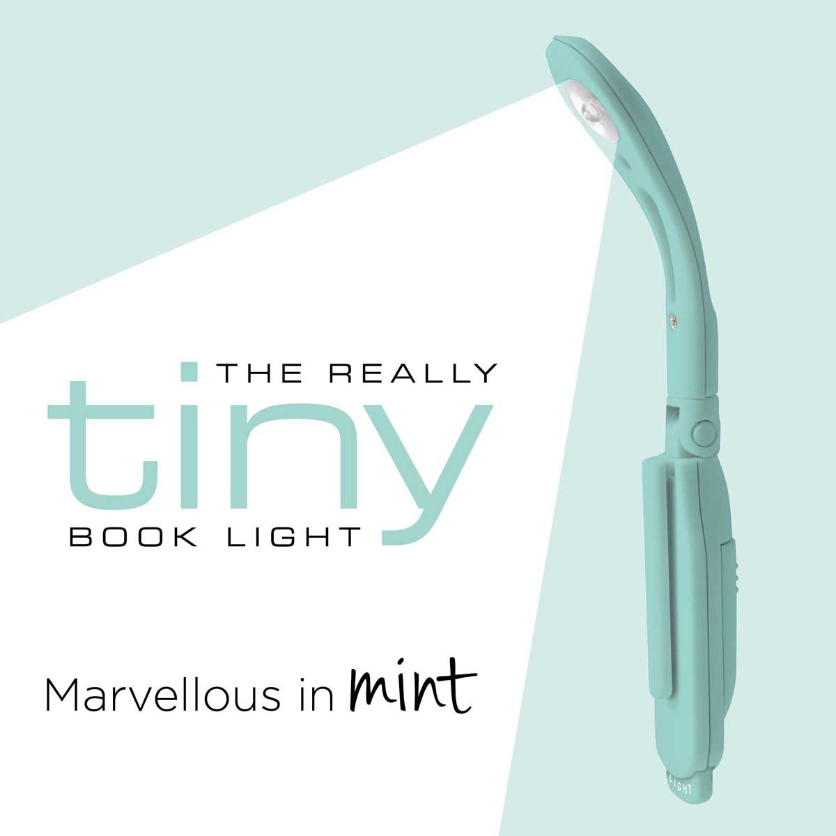 Really Tiny Book Light Mint Waterstones