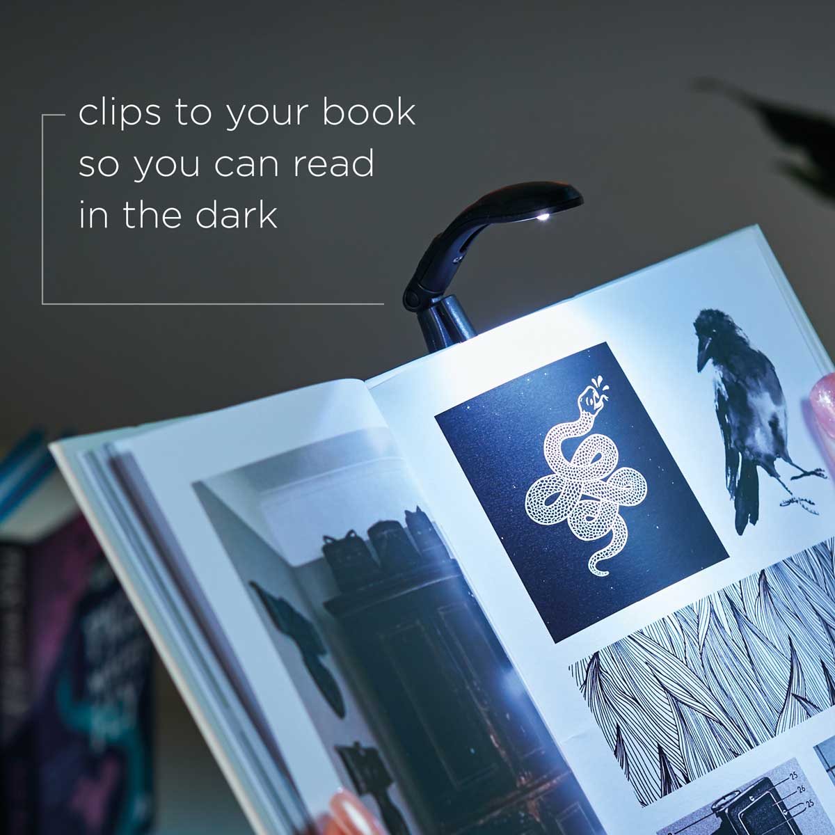 Really Tiny Book Light Black by That company called IF Waterstones