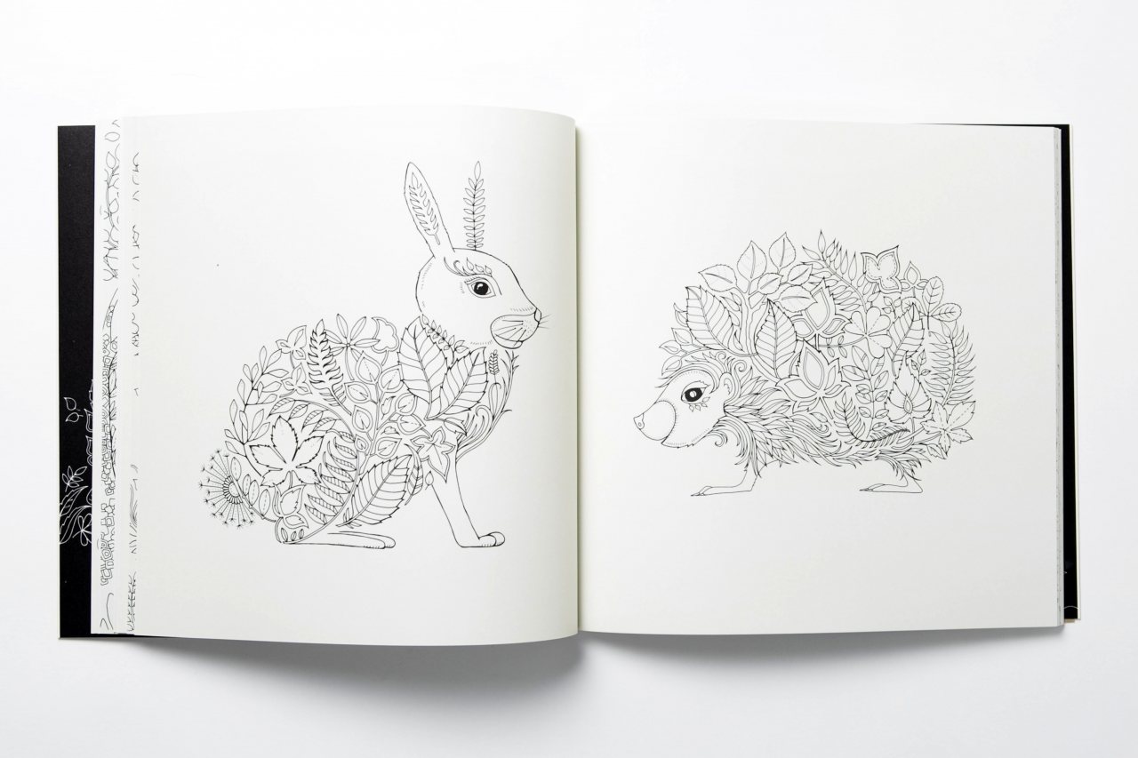 Download Enchanted Forest by Johanna Basford | Waterstones
