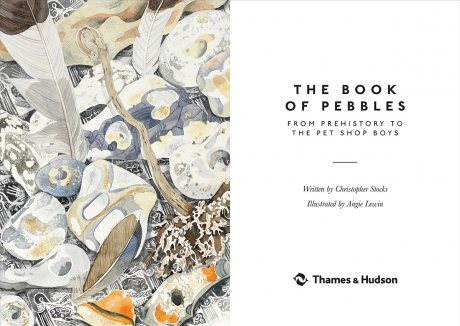 the magic pebble book