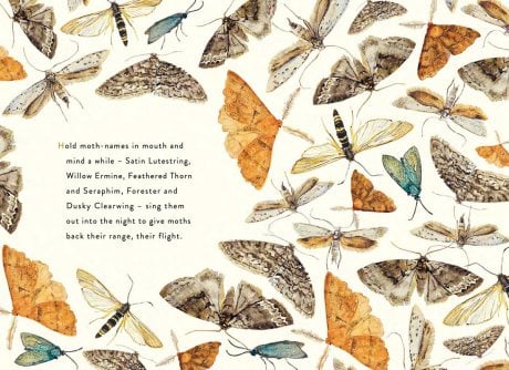 the lost spells robert macfarlane