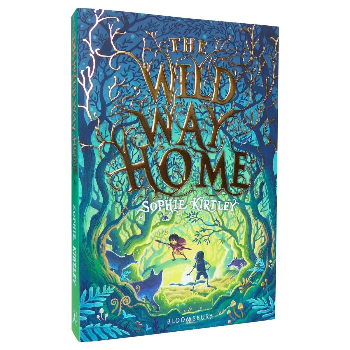 The Wild Way Home by Sophie Kirtley Waterstones