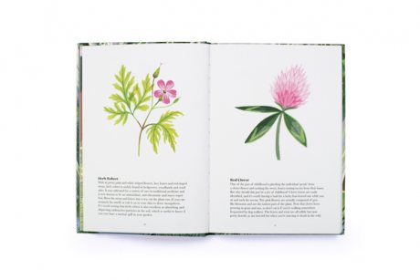 100 Things to do in a Forest (Hardback)