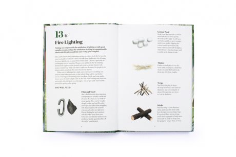 100 Things to do in a Forest (Hardback)