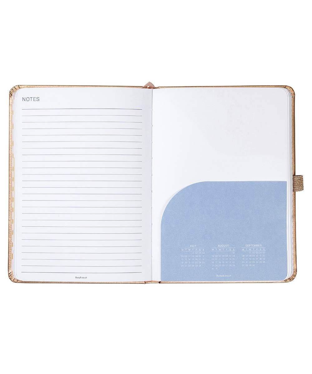 Best Year Ever Goals Desk Diary 2021 Waterstones