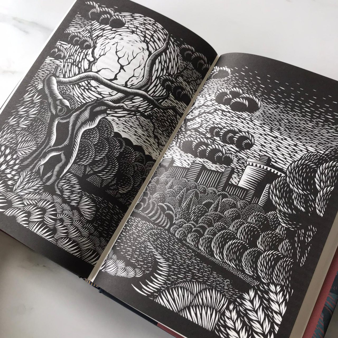 The Book of Trespass by Nick Hayes Waterstones