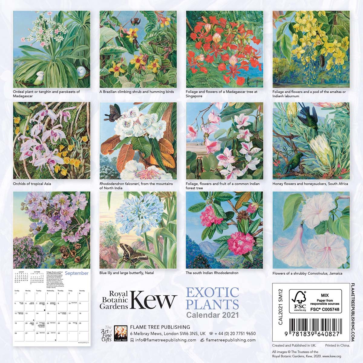 Kew Gardens Exotic Plants by Marianne North Mini Wall calendar 2021