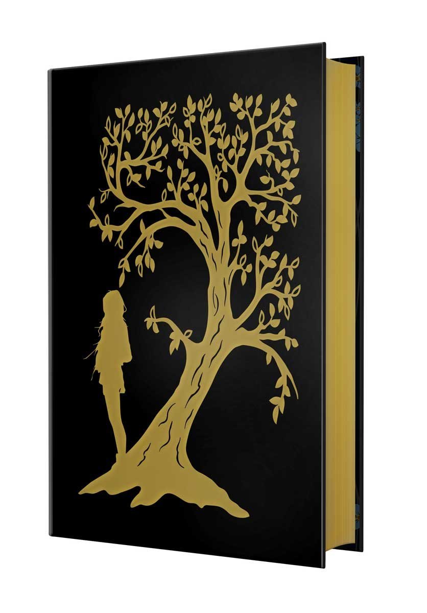 The Invisible Life of Addie LaRue by V. E. Schwab