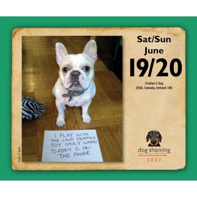 Dog Shaming 2021 Day-to-Day Calendar by Pascale Lemire ...