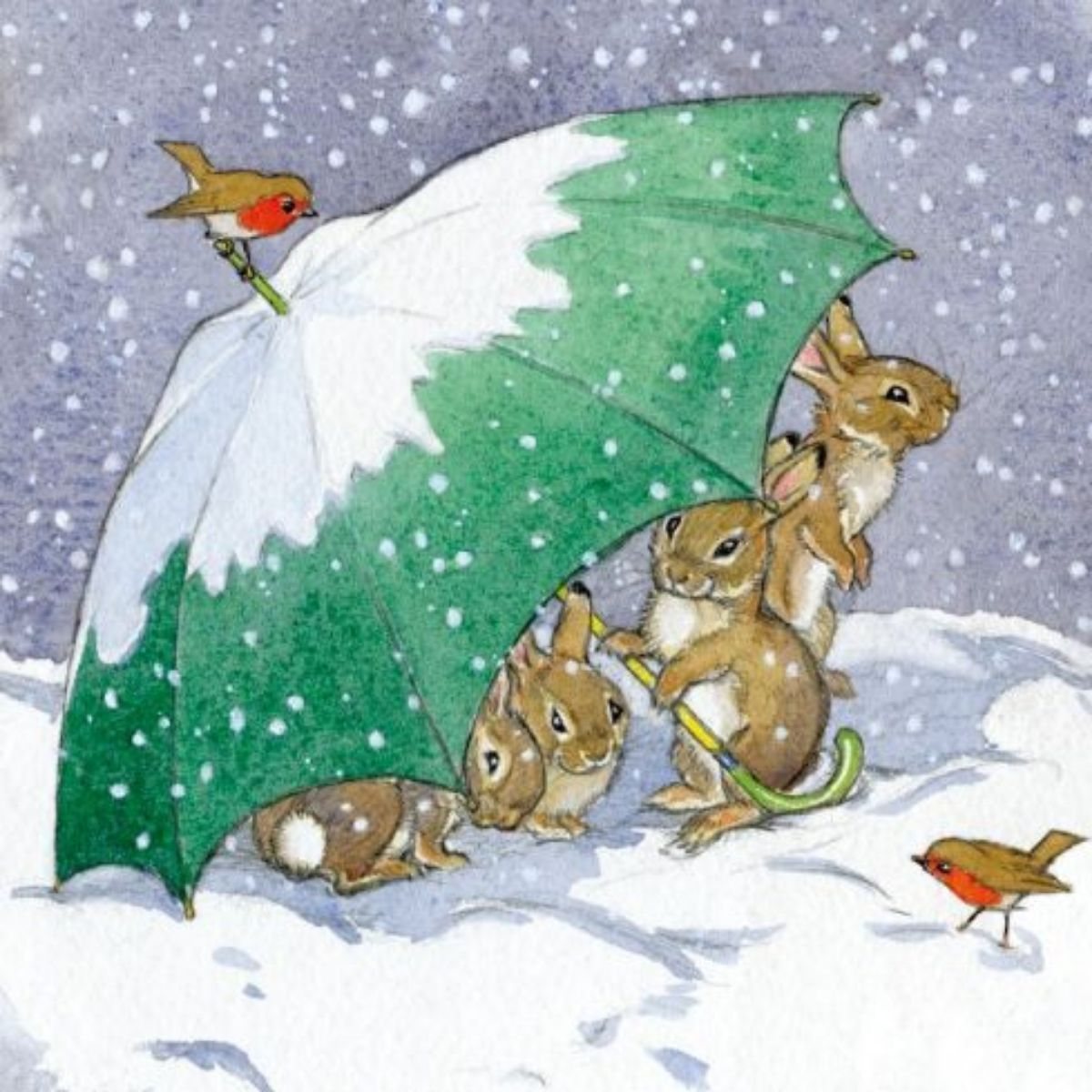 Rabbits Sheltering Under Umbrella Box X20 Cards Waterstones