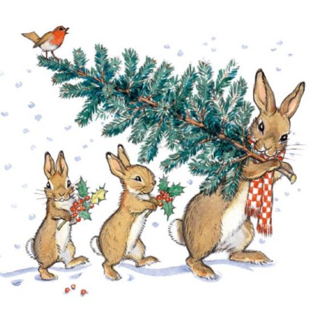 Rabbits Sheltering Under Umbrella Box X20 Cards Waterstones