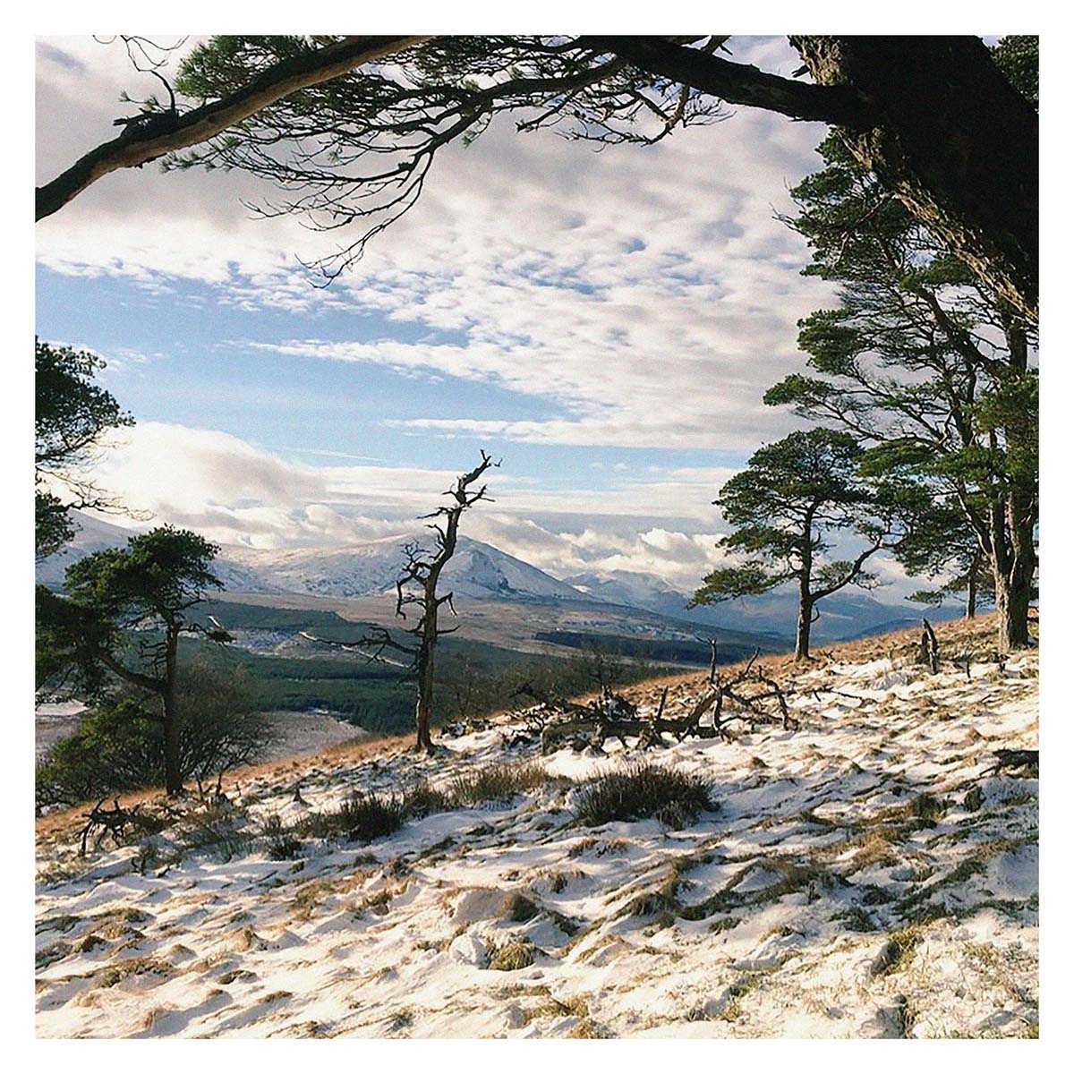 The Shepherd's Calendar by James Rebanks Waterstones