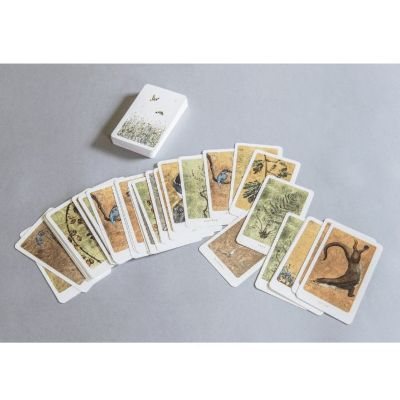 Lost Wife In Card Game